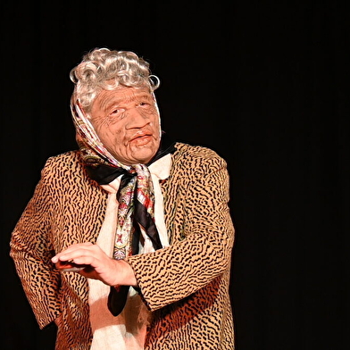 Panique à la Maison de retraite 