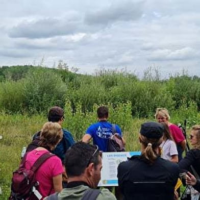 Visite et découverte des oiseaux de la réserve écologique des Maillys