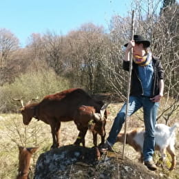 Rejoins le troupeau - SAINT-DIDIER