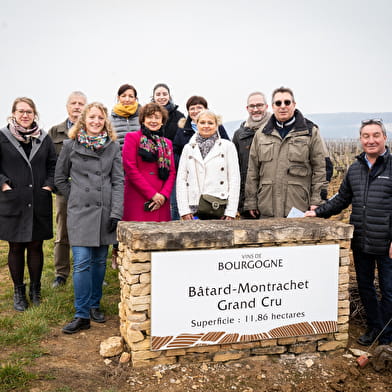 Masterclass Vins et Climats de Bourgogne