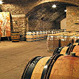 Manoir Henri de Villamont - Dégustation Terroir - SAVIGNY-LES-BEAUNE