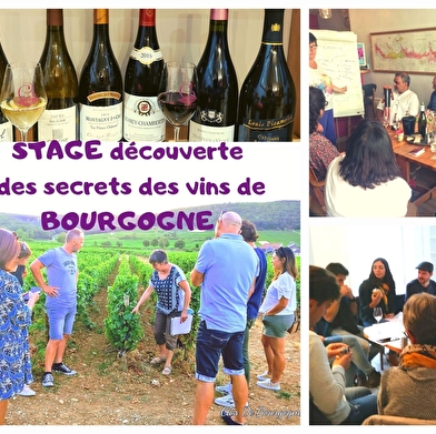 Masterclass/ Stage découverte des vins de Bourgogne : Balade guidée et  initiation à la dégustation et à l'oenologie