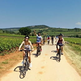 Chateau Vélo Vino en Côte de Nuits - DIJON