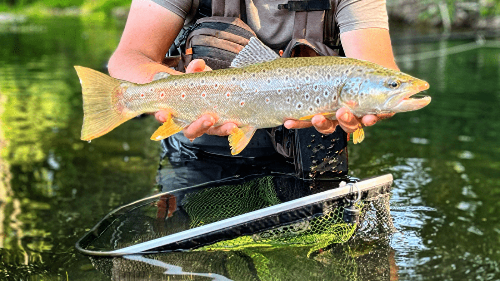 Initiation pêche à la mouche