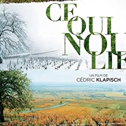 Projection du film 'Ce qui nous lie' - SANTENAY