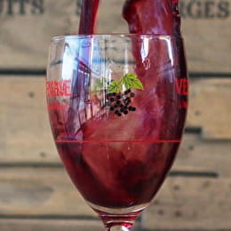 Le Cassissium - NUITS-SAINT-GEORGES