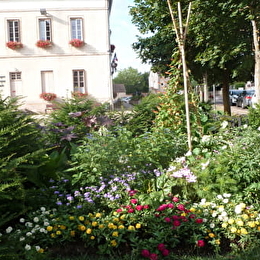 MARSANNAY-LA-COTE - MARSANNAY-LA-COTE