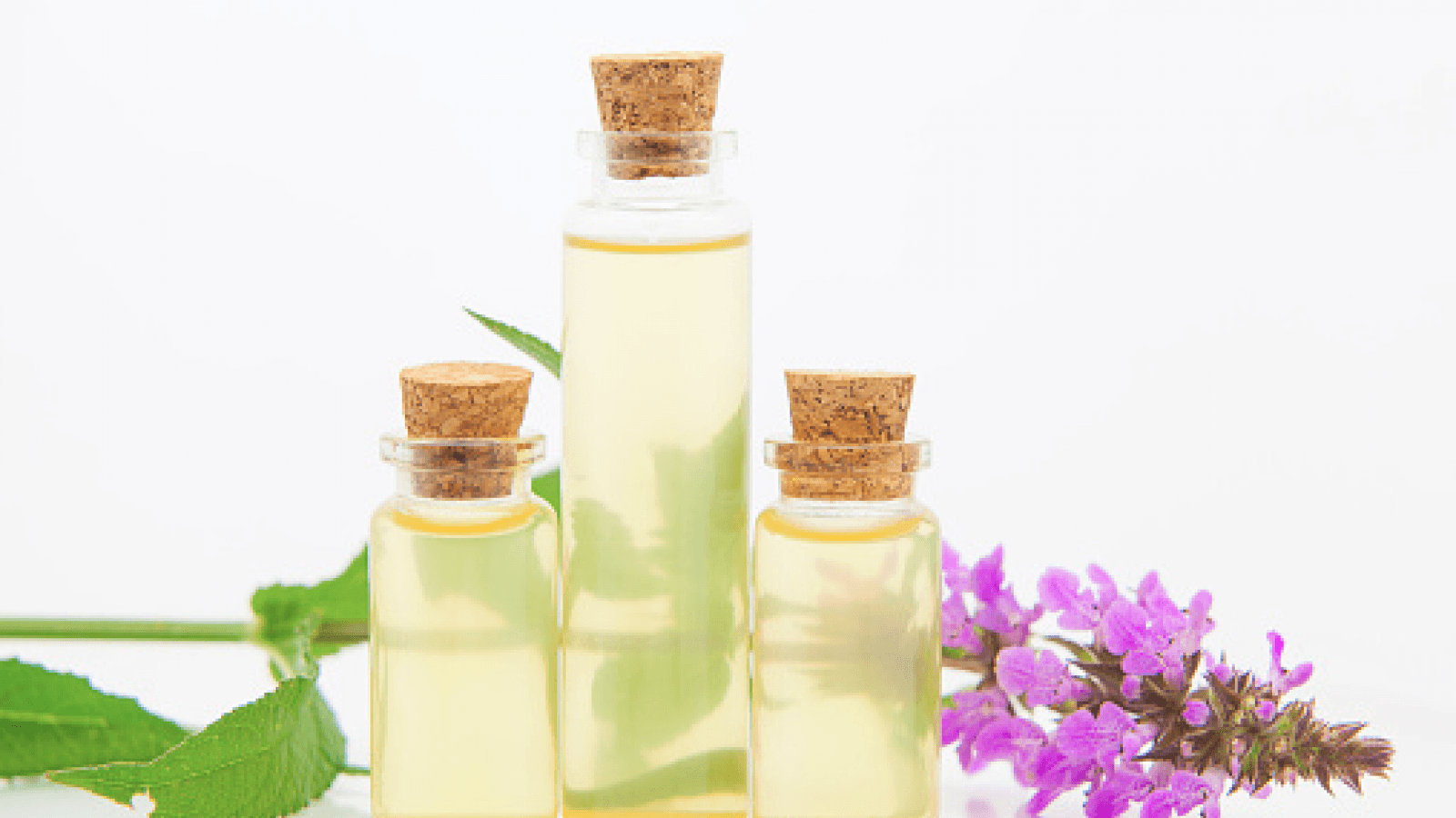 Intervention sur l'aromathérapie