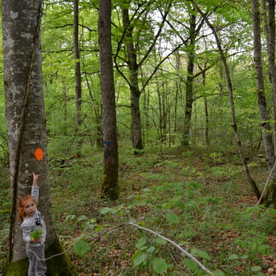 Balade nature en forêt _ENS2024  'sur réservation'