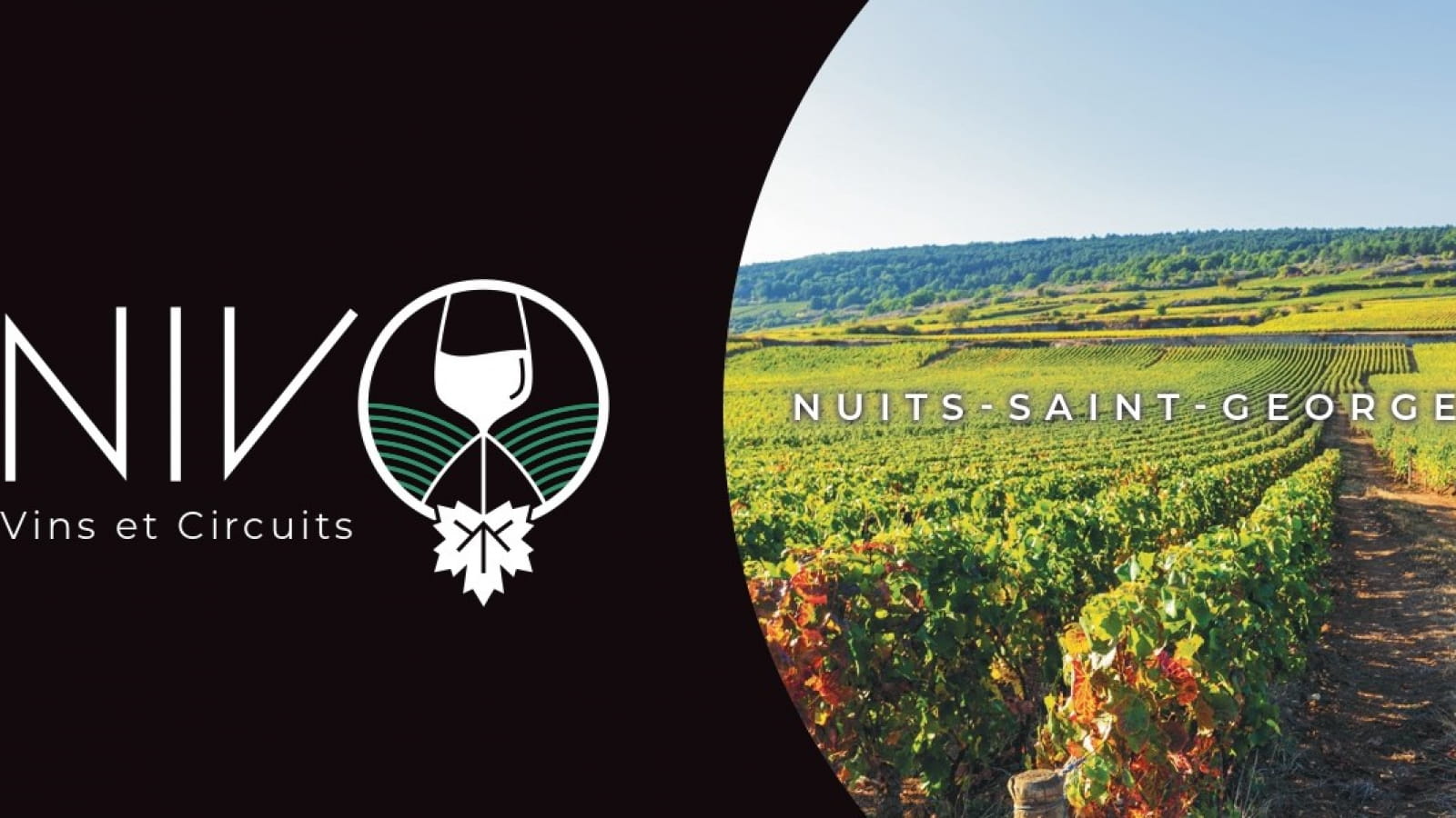 NIVO Vins et Circuits