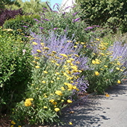 VENAREY-LES-LAUMES - VENAREY-LES-LAUMES