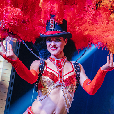 Séjour Vignes et Paillettes -Week end en Bourgogne 