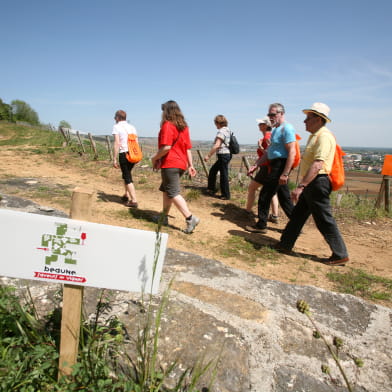 Beaune Saveurs de Vignes 2026 - randonnée gourmande