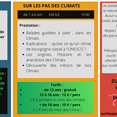 Sur les pas du vigneron