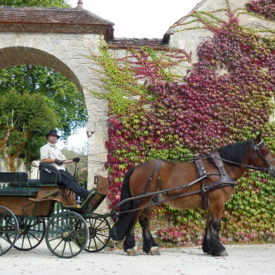 Ferme de Combe Noire