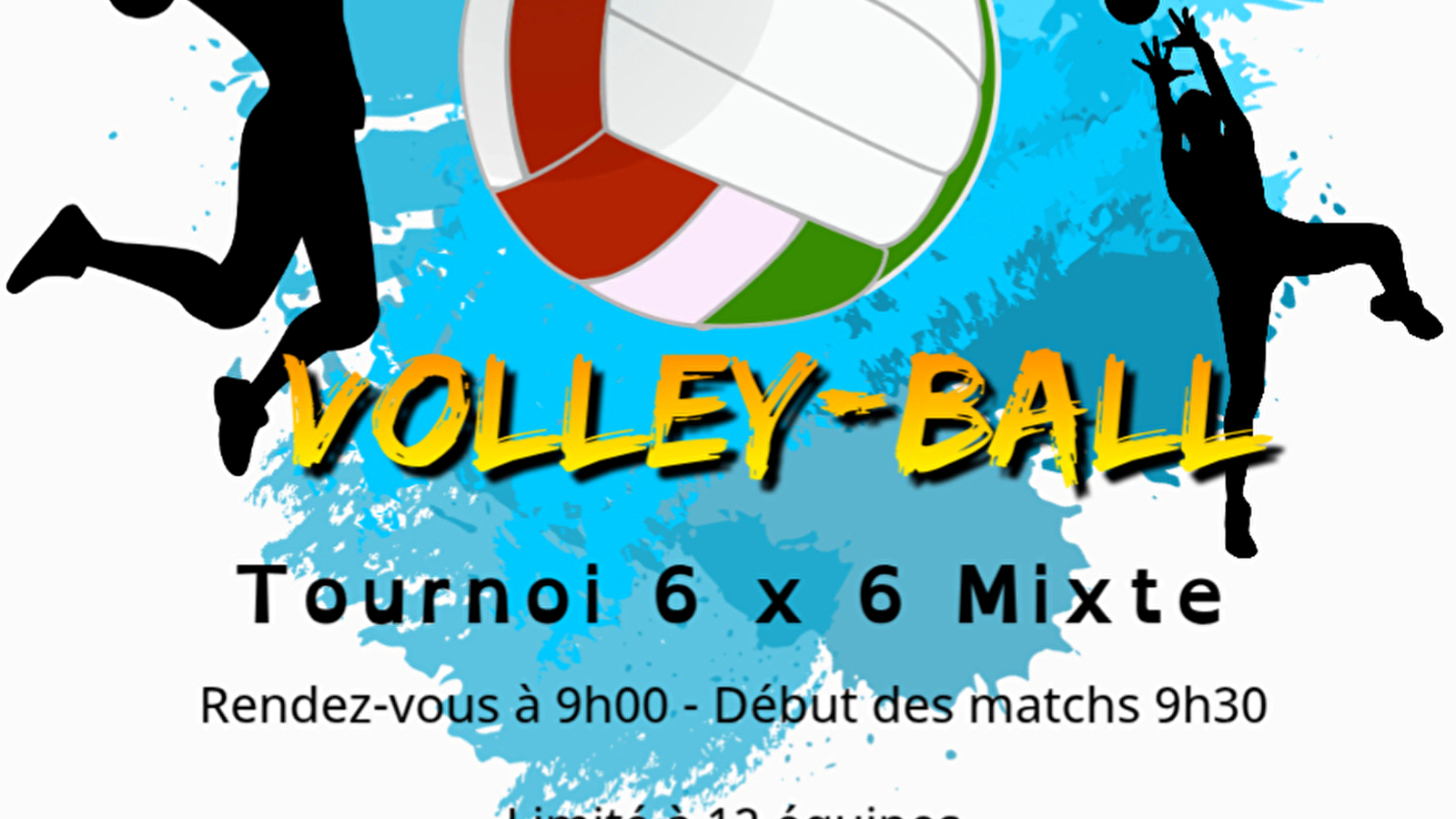 Tournoi de Volley-Ball mixte