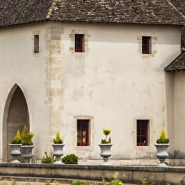 Château de Marsannay - MARSANNAY-LA-COTE