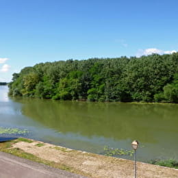 Au bord de Saône - SEURRE