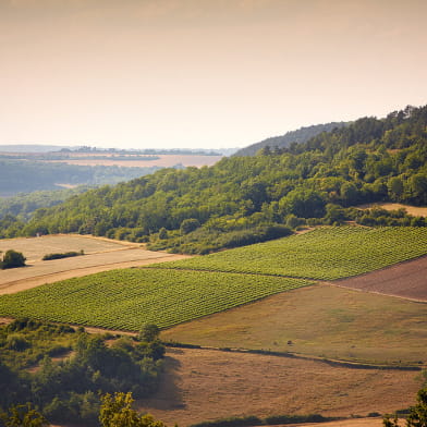 Caveau des Coteaux de l'Auxois