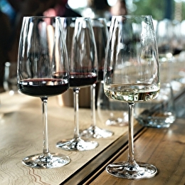 Les Divines Bourgogne - Plaisirs sensoriels - LA ROCHEPOT
