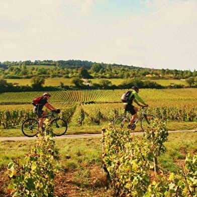 Voyage vélo en Bourgogne