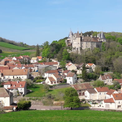 Journée guidée dans les vignes en Côte de Beaune