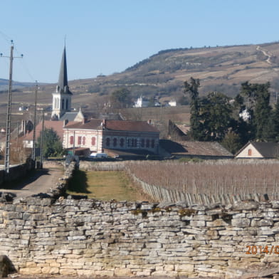 Bourgogne Moniot