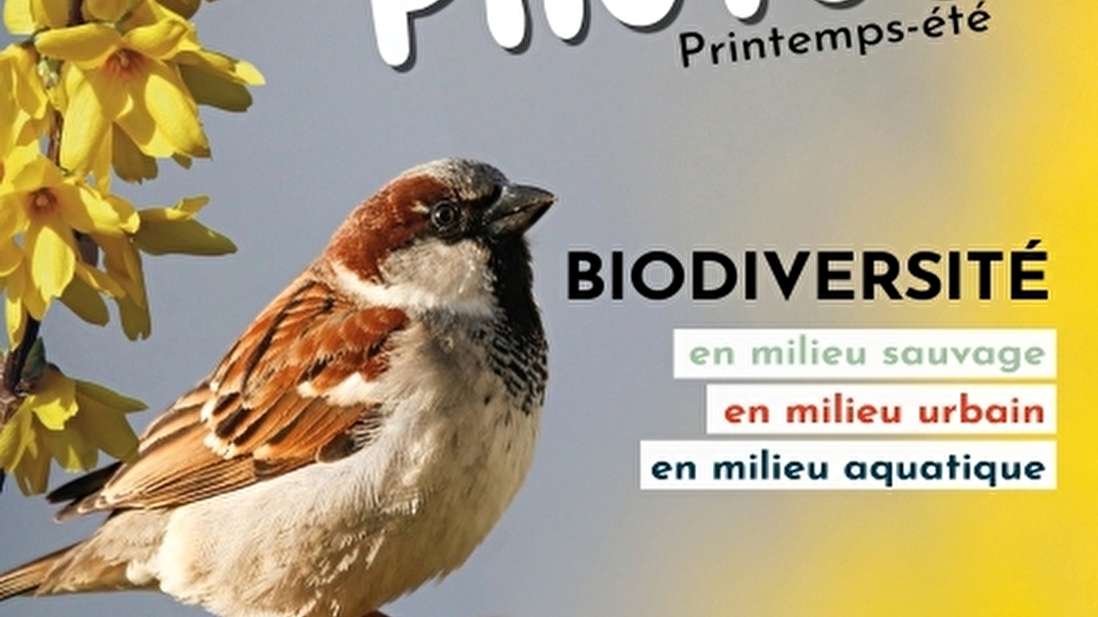 Concours photos Atlas Biodiversité