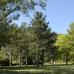Parc des Carrières Bacquin - DIJON