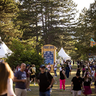 VYV Festival