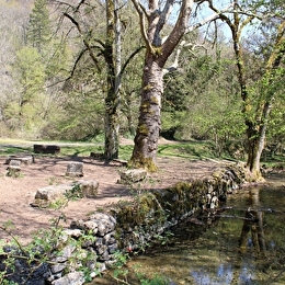 Aire de pique-nique d'Arcenant - ARCENANT