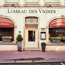 Loiseau des Vignes - BEAUNE