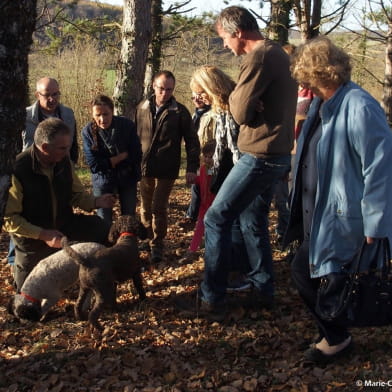 Cavage de la truffe de Bourgogne ENS2024 - sur réservation