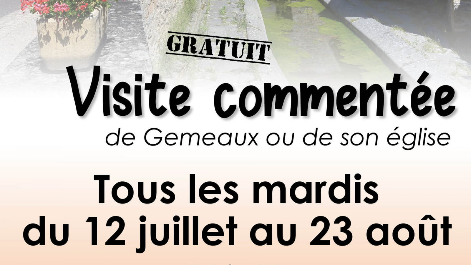 Visite commentée de Gemeaux