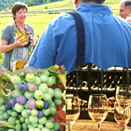 Clos de Bourgogne, les escapades 'secrets de la vigne au vin' - VOUGEOT
