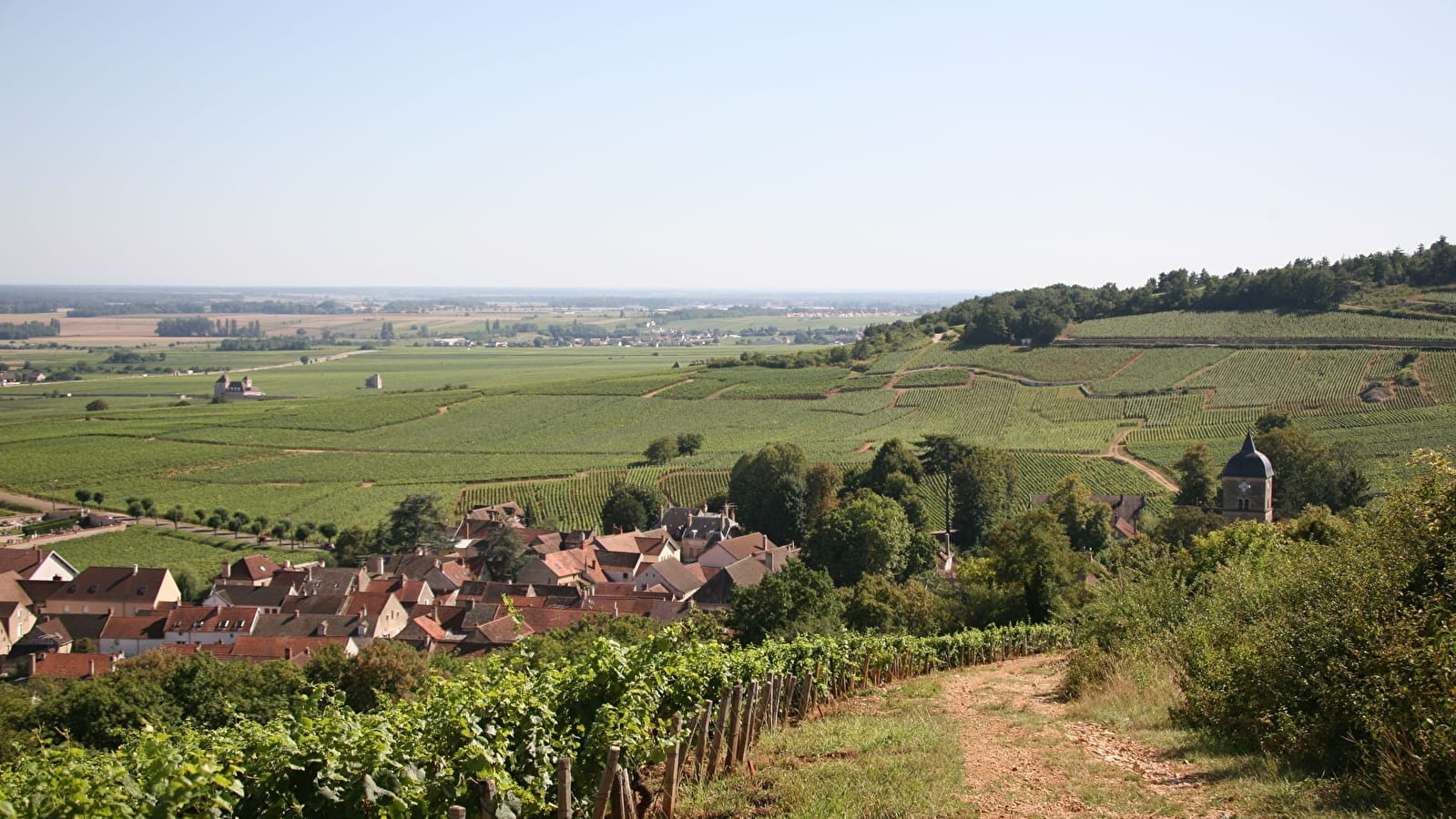 Journée Thématique : 'Au cœur des climats de Beaune'