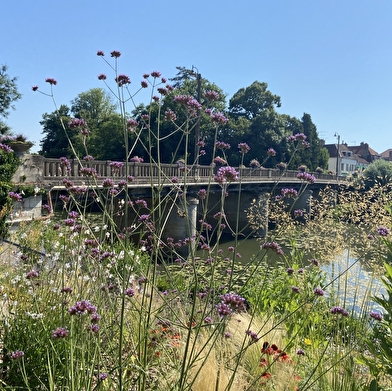 PONTAILLER-SUR-SAONE