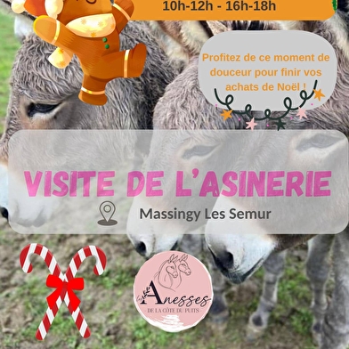 Découverte des ânes et des cosmétiques