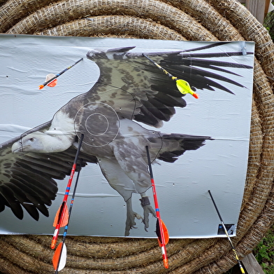 La Flèche Noironnaise