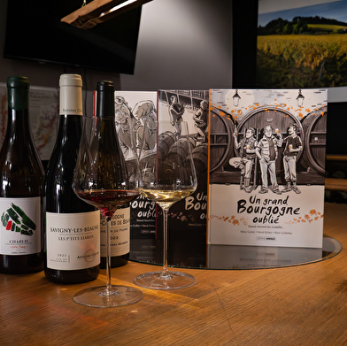 Vignobles en scène : rendez-vous « Wine Woman Show » à l'Athenaeum de la Vigne & du Vin à Beaune