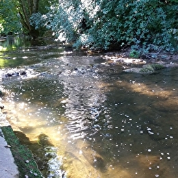 Stages 'bien être' créatifs en sculpture- Bligny sur Ouche - BLIGNY-SUR-OUCHE