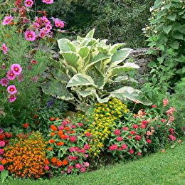 MESSIGNY-ET-VANTOUX - MESSIGNY-ET-VANTOUX