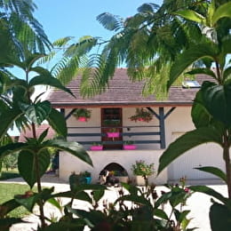Gîte 'Entre Saône et Vignes' - TRECLUN