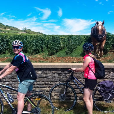 Location Vélo : Bourgogne Evasion by Active Tours