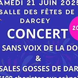 Fête de la musique - DARCEY