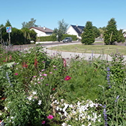 CHEVIGNY-SAINT-SAUVEUR - CHEVIGNY-SAINT-SAUVEUR