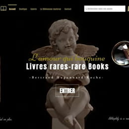 Librairie L'Amour qui Bouquine - ALISE-SAINTE-REINE