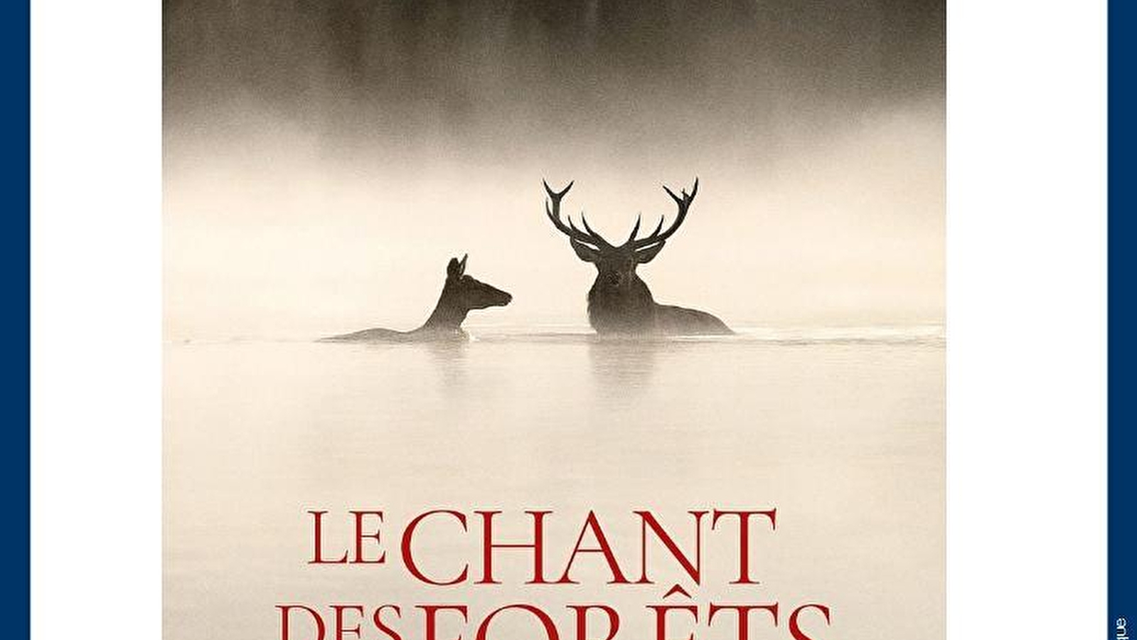 Séance cinéma 'Le chant des forêts'