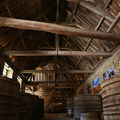 Journée vélo et vin en Cote de Nuits