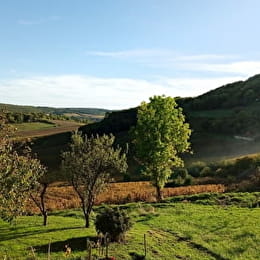 Chez Marie-France - BAUBIGNY